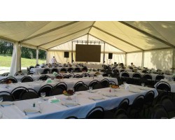 Тентовый павильон 10х20-foto4