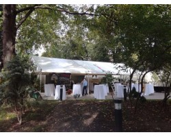 Тентовый павильон 10х30-foto2