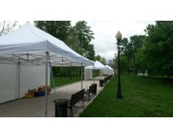 Аренда шатра 8х4-foto2